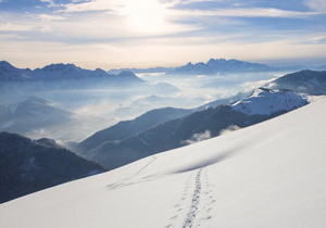 从支付工具到经营伙伴：樱花支付系统如何助力商户降本增效